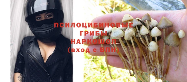 гашик Вязьма