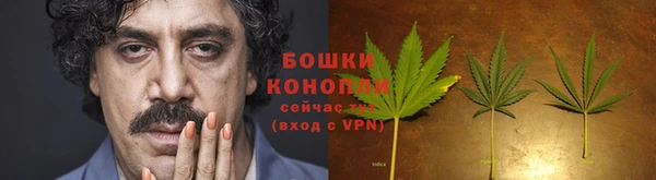 PSILOCYBIN Волосово
