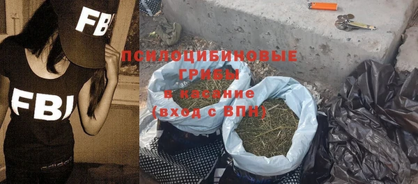 гашик Вязьма