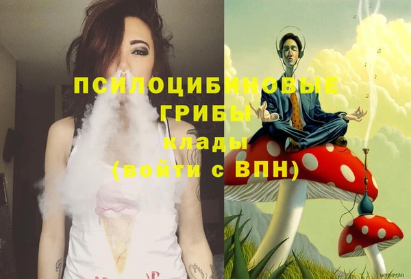 синтетический гашиш Вяземский