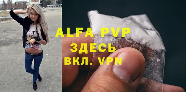 гашик Вязьма